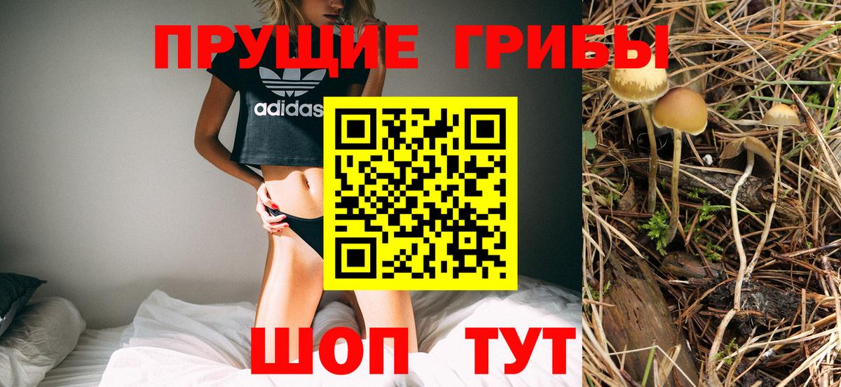 Воронеж  Галлюциногенные грибы Psilocybe  Вход с VPN 